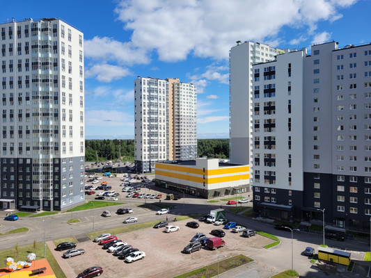 Сдам однокомнатную (1-комн.) квартиру, Муринская дор, 25к2, Санкт-Петербург г