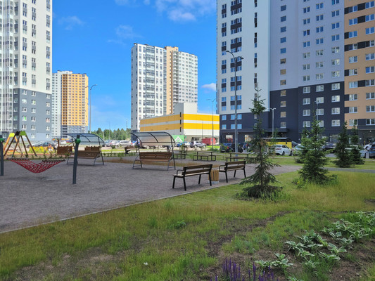 Сдам однокомнатную (1-комн.) квартиру, Муринская дор, 25к2, Санкт-Петербург г