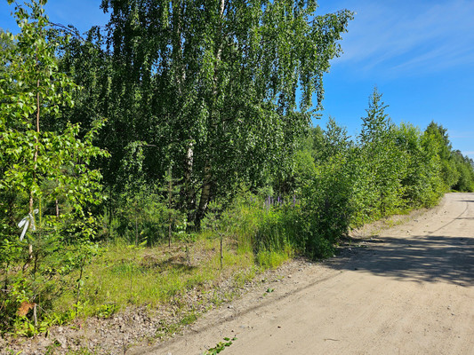 Продам участок 15 соток, Фермерское хоз., Романтик снт, Костомукша г, 0 км от города