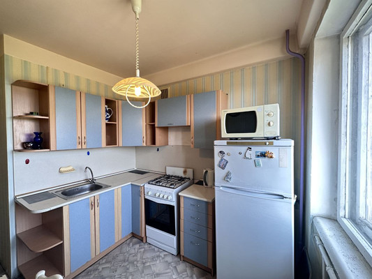 Продам двухкомнатную (2-комн.) квартиру, Светлановский пр-кт, 48, Санкт-Петербург г
