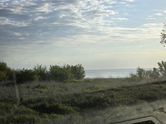 Продам дом, Набережная ул, 31, Разино п, 0 км от города