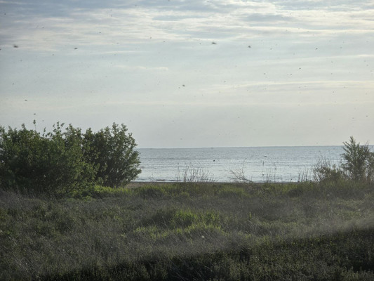 Продам дом, Набережная ул, 31, Разино п, 0 км от города