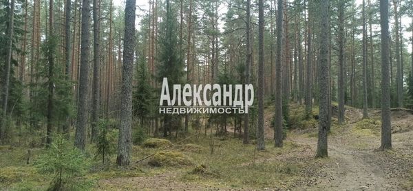 Продам участок 8 соток, Садоводство, поселок Ручеёк, Новая ул, Приморск г, 40 км от города