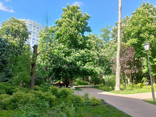 Продам трехкомнатную (3-комн.) квартиру, Павла Андреева ул, 28к6, Москва г