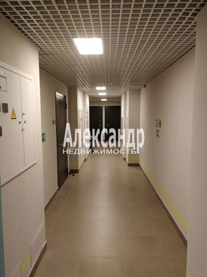 Сдам однокомнатную (1-комн.) квартиру, Муринская дор, 27к2, Санкт-Петербург г