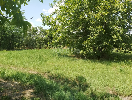 Продам участок 9,77 соток, ИЖС, Центральная ул, 106А, Стародеревянковская ст-ца, 0 км от города