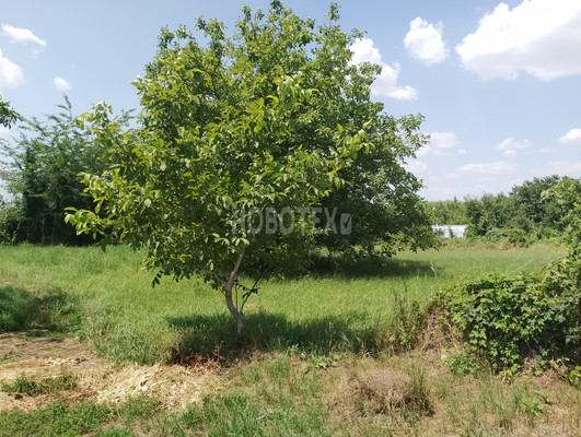 Продам участок 9,77 соток, ИЖС, Центральная ул, 106А, Стародеревянковская ст-ца, 0 км от города