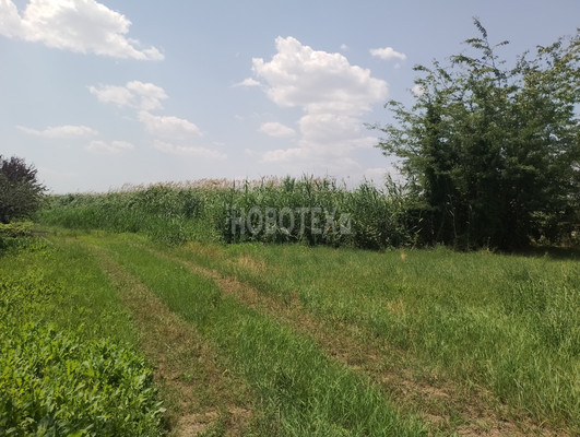 Продам участок 9,77 соток, ИЖС, Центральная ул, 106А, Стародеревянковская ст-ца, 0 км от города