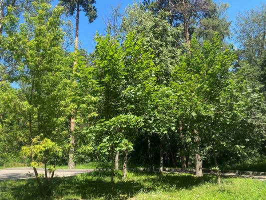Продам двухкомнатную (2-комн.) квартиру, Свободы ул, 10, Бритово д