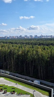 Продам однокомнатную (1-комн.) квартиру, Планерная ул, 97к2, Санкт-Петербург г