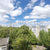 Продам однокомнатную (1-комн.) квартиру, Севастопольский пр-кт, 18, Москва г