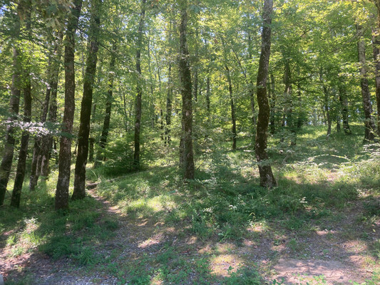 Продам участок 3 соток, ИЖС, Светлый пер, 11, Туапсе г, 0 км от города