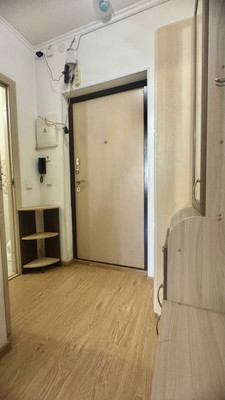 Продам однокомнатную (1-комн.) квартиру, Ветеранов пр-кт, 169к3, Санкт-Петербург г
