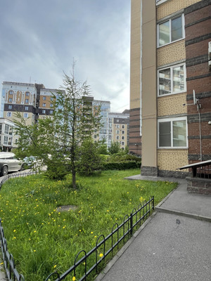 Продам однокомнатную (1-комн.) квартиру, Глухая Зеленина ул, 4, Санкт-Петербург г