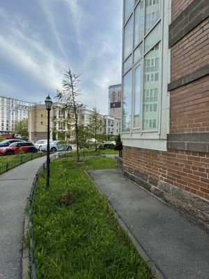 Продам однокомнатную (1-комн.) квартиру, Глухая Зеленина ул, 4, Санкт-Петербург г