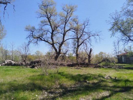 Продам землю для коммерческого использования 62 соток, Садоводство, Раздорская ст-ца