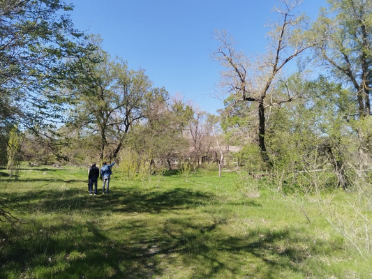Продам землю для коммерческого использования 62 соток, Садоводство, Раздорская ст-ца