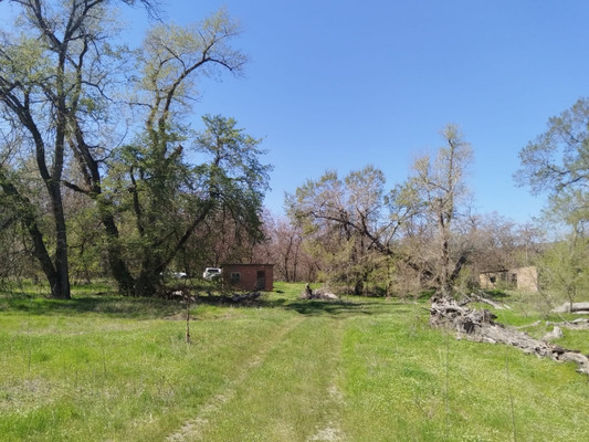 Продам землю для коммерческого использования 62 соток, Садоводство, Раздорская ст-ца