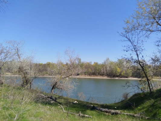 Продам землю для коммерческого использования 62 соток, Садоводство, Раздорская ст-ца