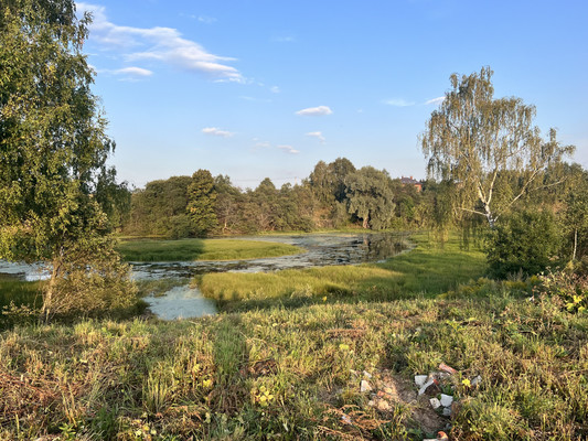 Продам участок 17 соток, ИЖС, Тишково д, 0 км от города