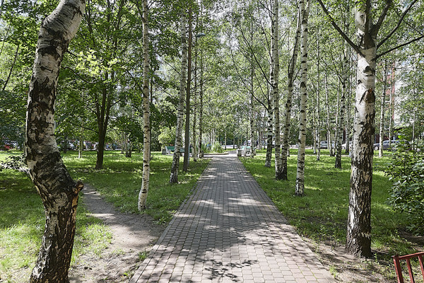 Продам трехкомнатную (3-комн.) квартиру, Джона Рида ул, 7Ак3, Санкт-Петербург г