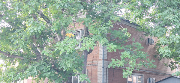 Сдам дом, Песчаный пер, 12, Северская ст-ца, 0 км от города