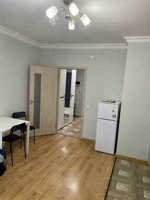 Продам однокомнатную (1-комн.) квартиру, Александра Грина б-р, 1к1, Санкт-Петербург г