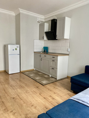 Продам однокомнатную (1-комн.) квартиру, Александра Грина б-р, 1к1, Санкт-Петербург г
