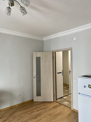 Продам однокомнатную (1-комн.) квартиру, Александра Грина б-р, 1к1, Санкт-Петербург г