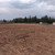 Продам участок 964,16 соток, Садоводство, Сысоево д, 0 км от города