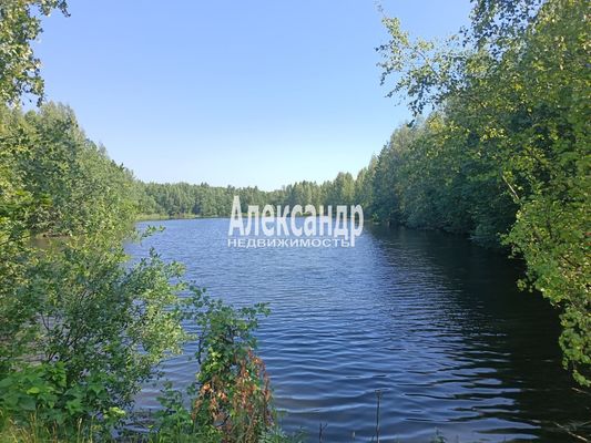 Продам дачу, Заозерное тер. ТСН, 1467, Мертуть массив, 10 км от города