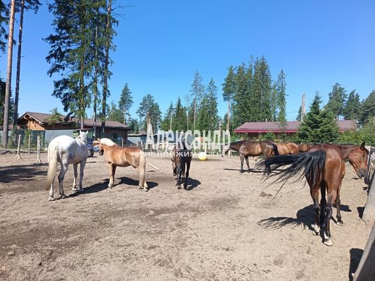 Продам дачу, Заозерное тер. ТСН, 1467, Мертуть массив, 10 км от города