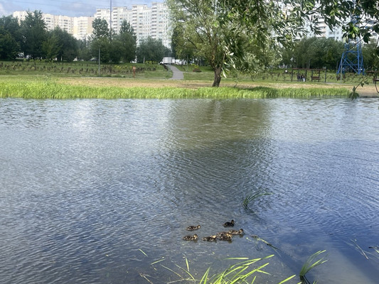 Продам двухкомнатную (2-комн.) квартиру, Маршала Савицкого ул, 8, Москва г