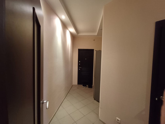 Продам однокомнатную (1-комн.) квартиру, Димитрова ул, 3ак1, Санкт-Петербург г