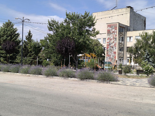 Продам участок 8 соток, ИЖС, Новоандреевка с, 0 км от города