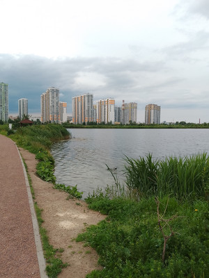 Продам двухкомнатную (2-комн.) квартиру, Малая Бухарестская ул, 6к1, Санкт-Петербург г