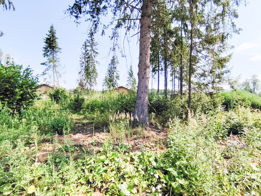 Продам участок 15 соток, Садоводство, СНТ Покровское тер, Покровка д, 0 км от города