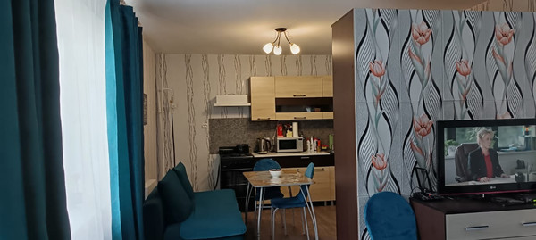 Продам однокомнатную (1-комн.) квартиру, Курковицкое ш, 11Б, Кикерино п
