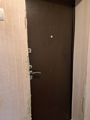 Продам однокомнатную (1-комн.) квартиру, Ленина пр-кт, 93/3, Ростов-на-Дону г