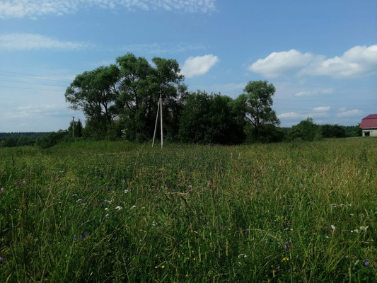 Продам участок 12 соток, ИЖС, Центральная ул, Фалелеево с, 0 км от города