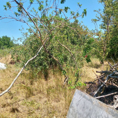 Продам дачу, Ягодка тер. СНТ, Красная Скала х, 0 км от города