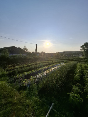 Продам участок 17 соток, ИЖС, Лесная ул, Уязытамак с, 0 км от города