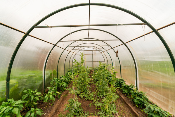 Продам дом, Полевой р-н, 85, Становая п, 15 км от города