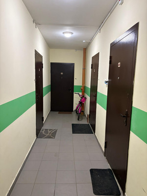 Продам однокомнатную (1-комн.) квартиру, Светлая ул, 15, Засечное с