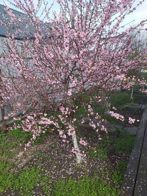 Продам дом, Радужная (Радуга снт) ул, 830, Ленина х, 0 км от города