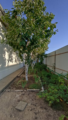 Продам дом, Радужная (Радуга снт) ул, 830, Ленина х, 0 км от города