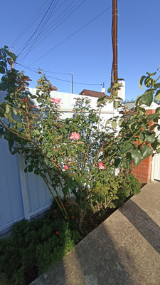 Продам дом, Радужная (Радуга снт) ул, 830, Ленина х, 0 км от города