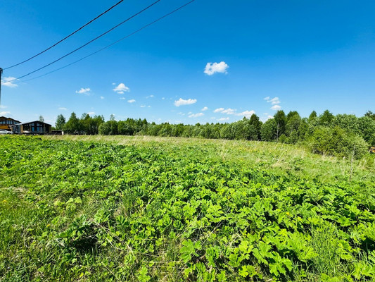 Продам участок 13 соток, ИЖС, Новоселье с, 0 км от города