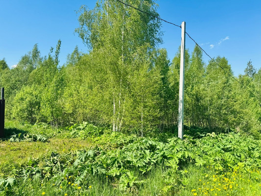 Продам участок 13 соток, ИЖС, Новоселье с, 0 км от города