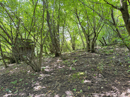 Продам участок 7,3 соток, Фермерское хоз., Биттирова ул, 157, Белая Речка с, 0 км от города